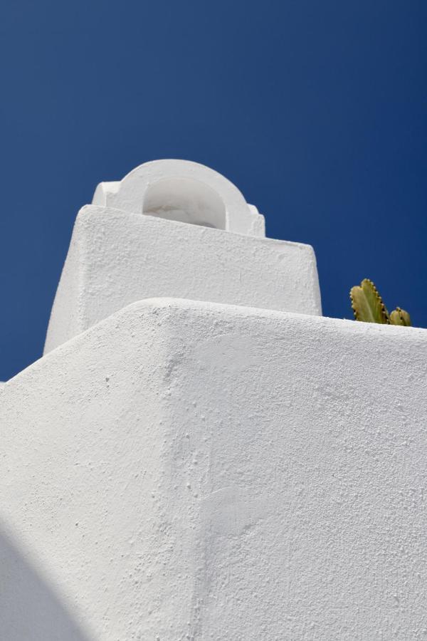 Aidos Villa Santorini 梅加洛克里 外观 照片
